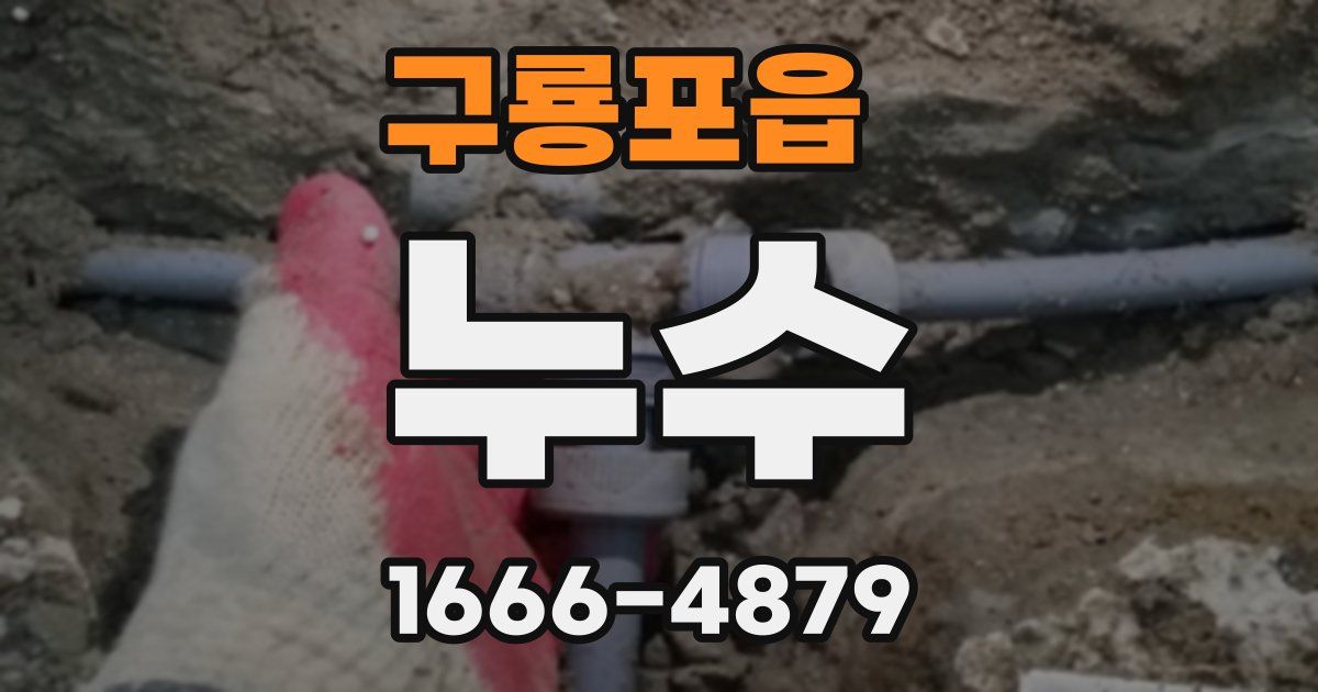 구룡포읍 누수