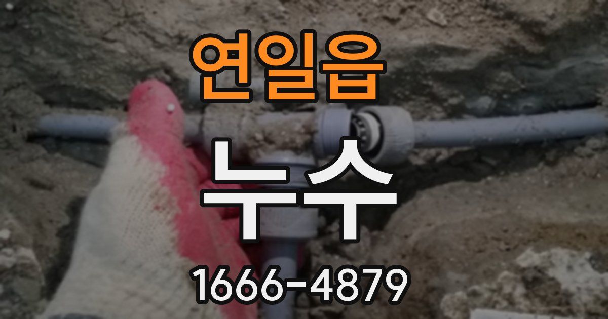 연일읍 누수