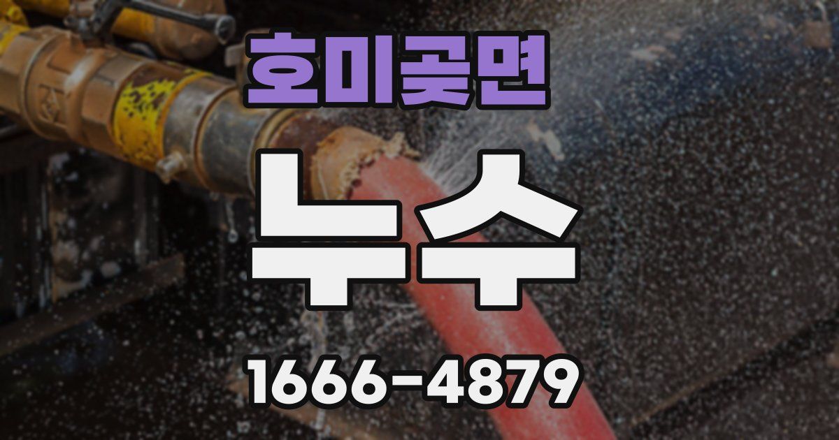 호미곶면 누수