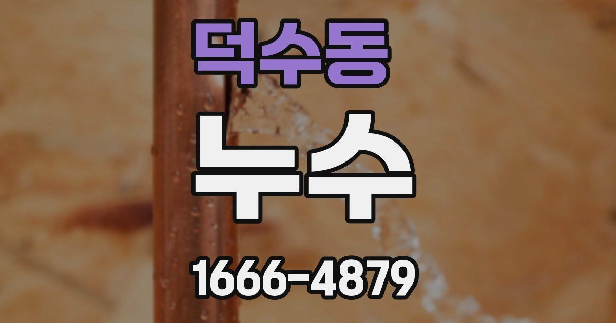 덕수동 누수