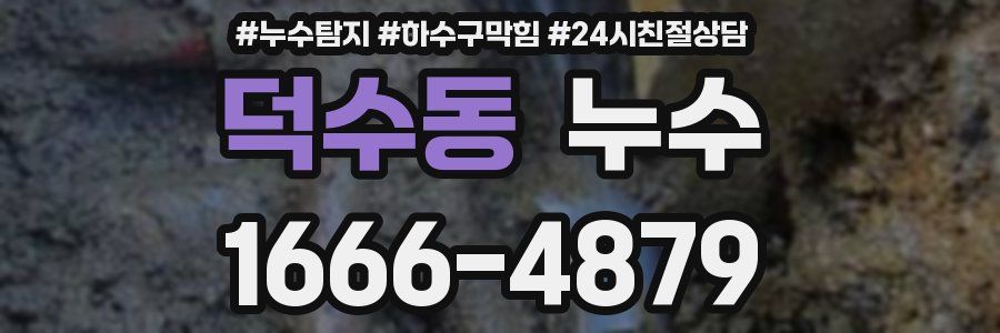 덕수동 누수