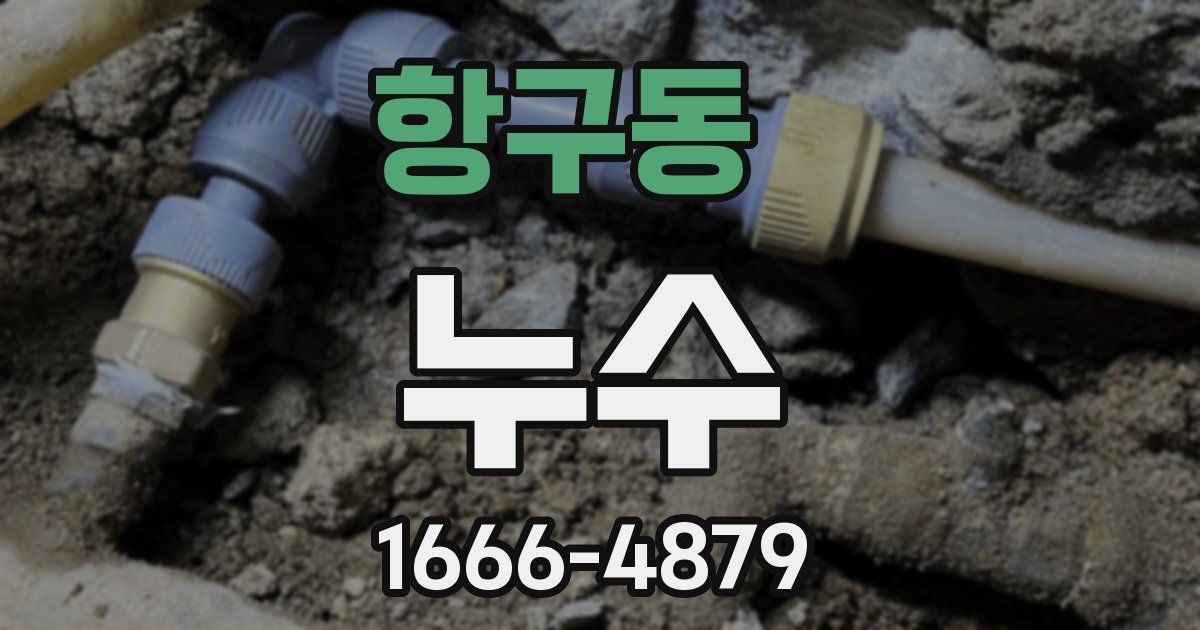 항구동 누수