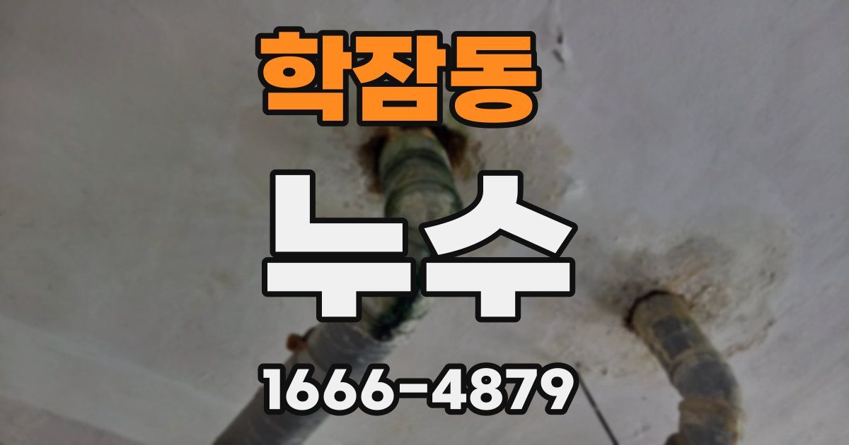 학잠동 누수
