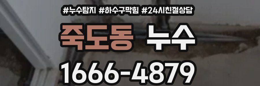 죽도동 누수