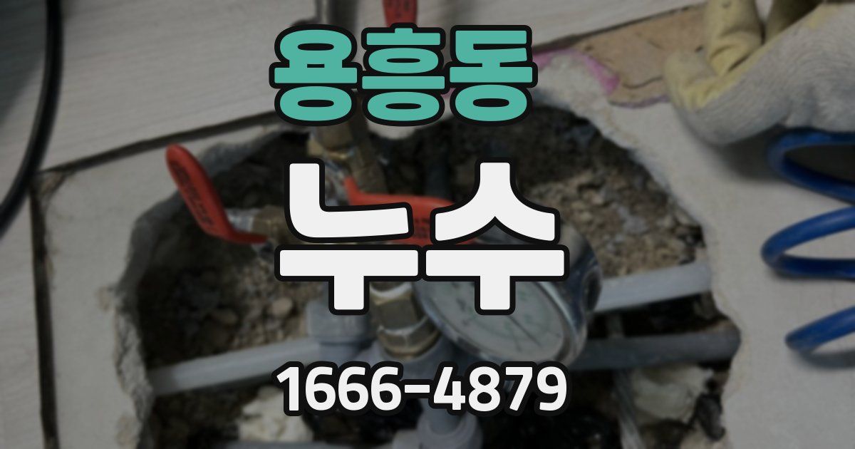 용흥동 누수