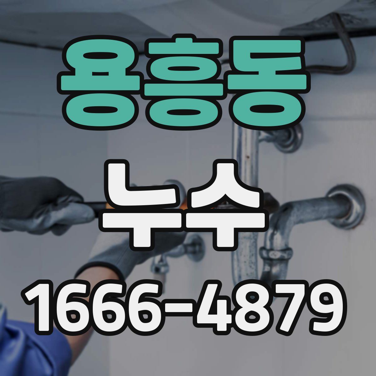 용흥동 누수