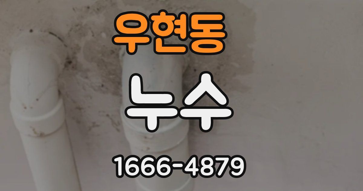 우현동 누수