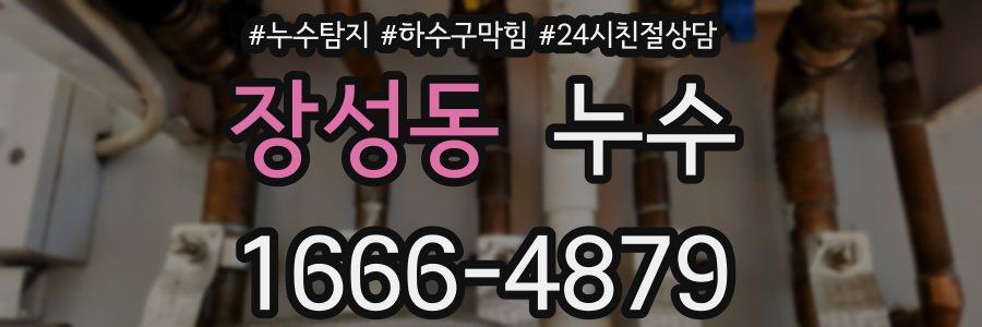 장성동 누수