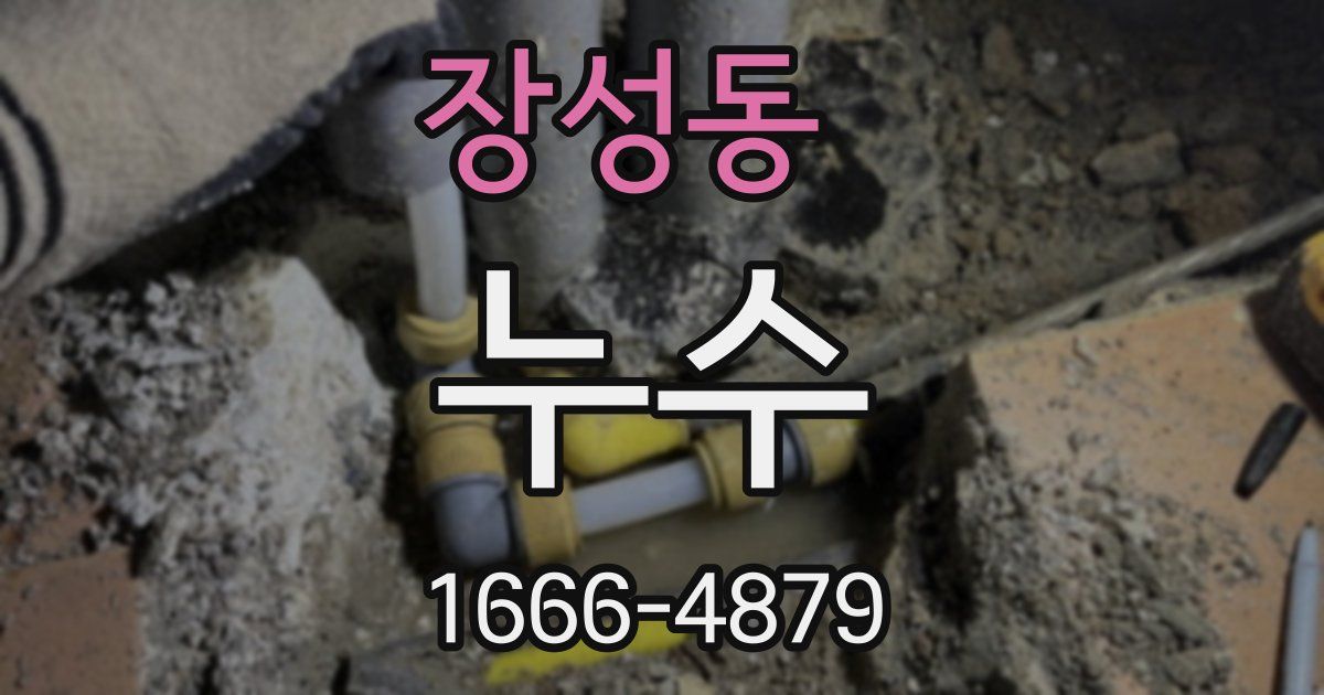 장성동 누수