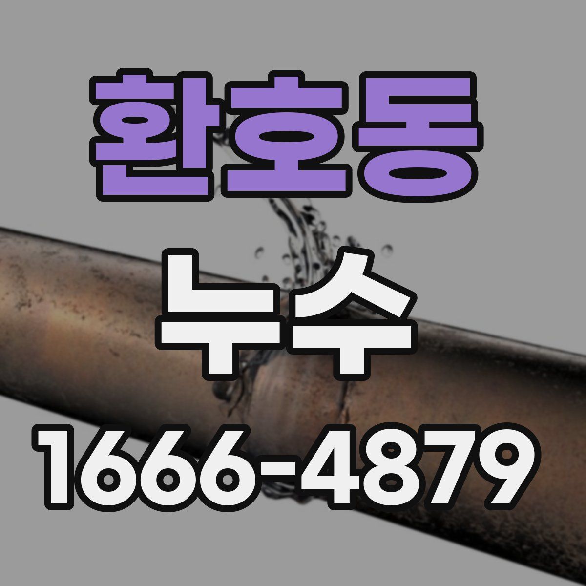 환호동 누수