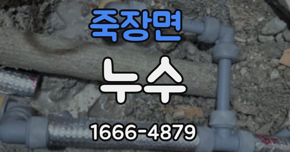죽장면 누수