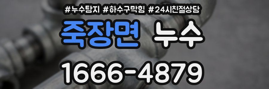죽장면 누수
