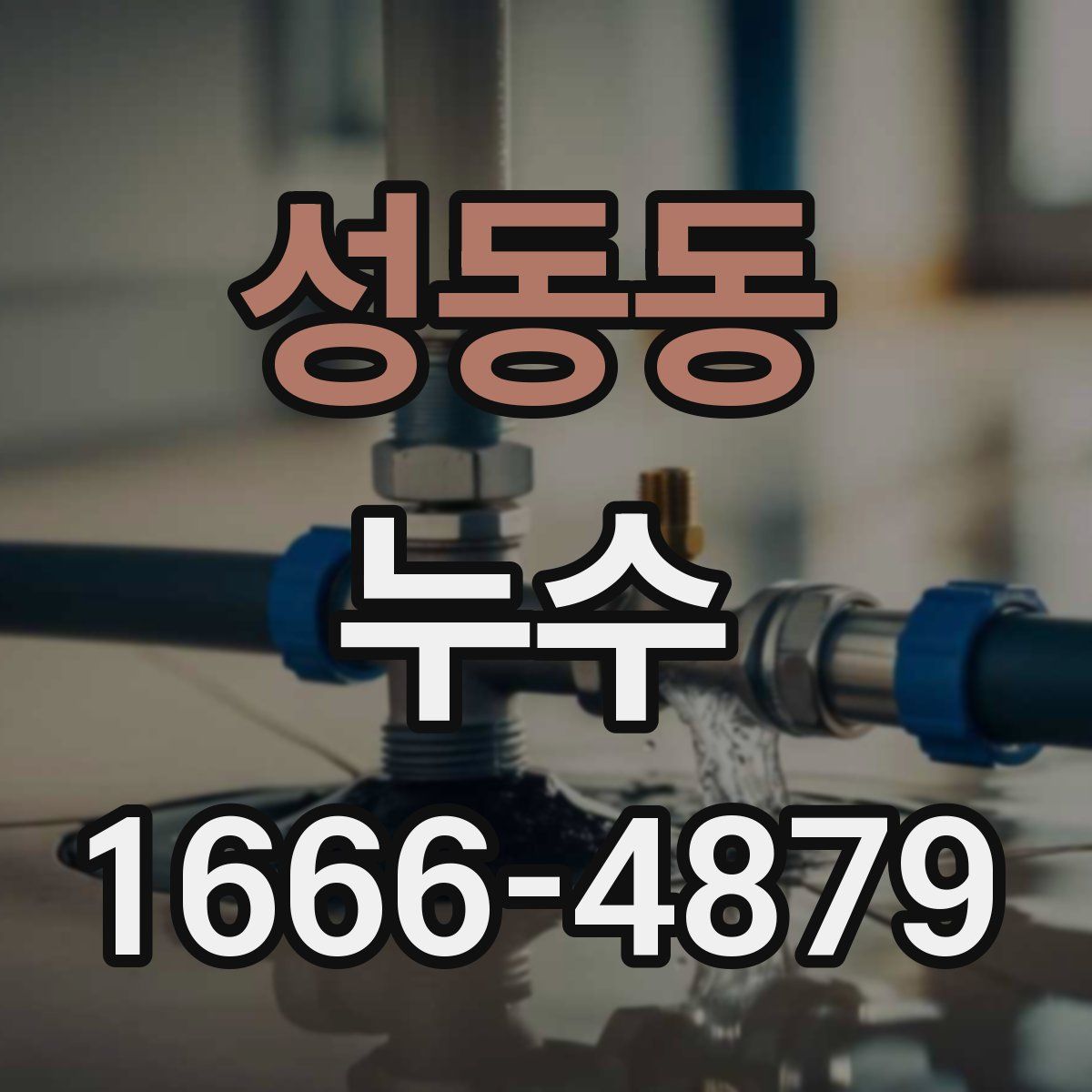 성동동 누수