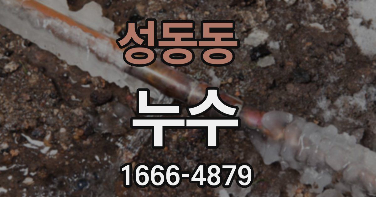 성동동 누수