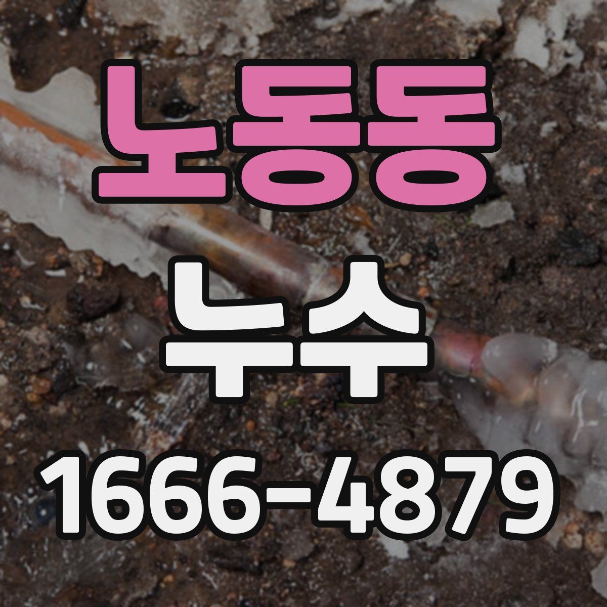 노동동 누수