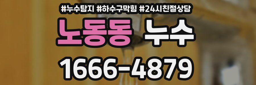 노동동 누수