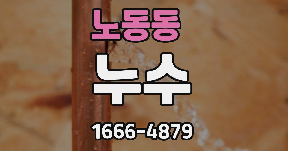노동동 누수
