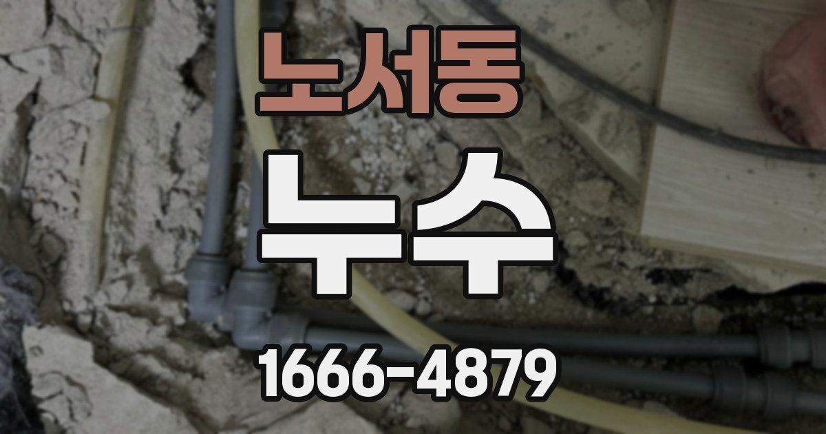 노서동 누수