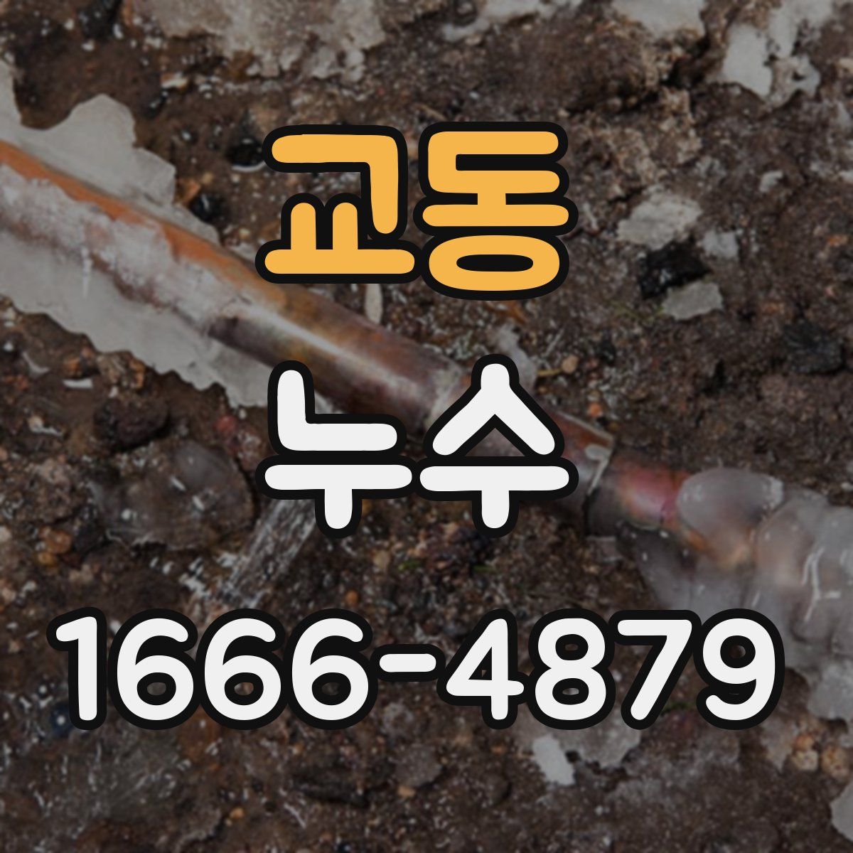 교동 누수