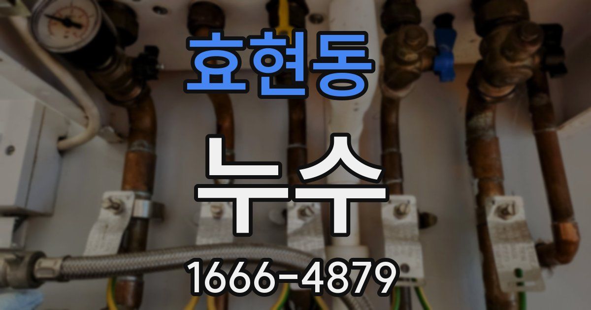 효현동 누수