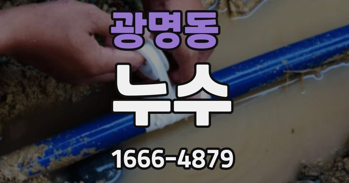 광명동 누수