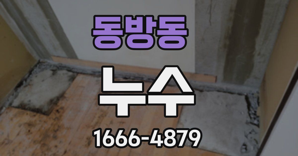 동방동 누수
