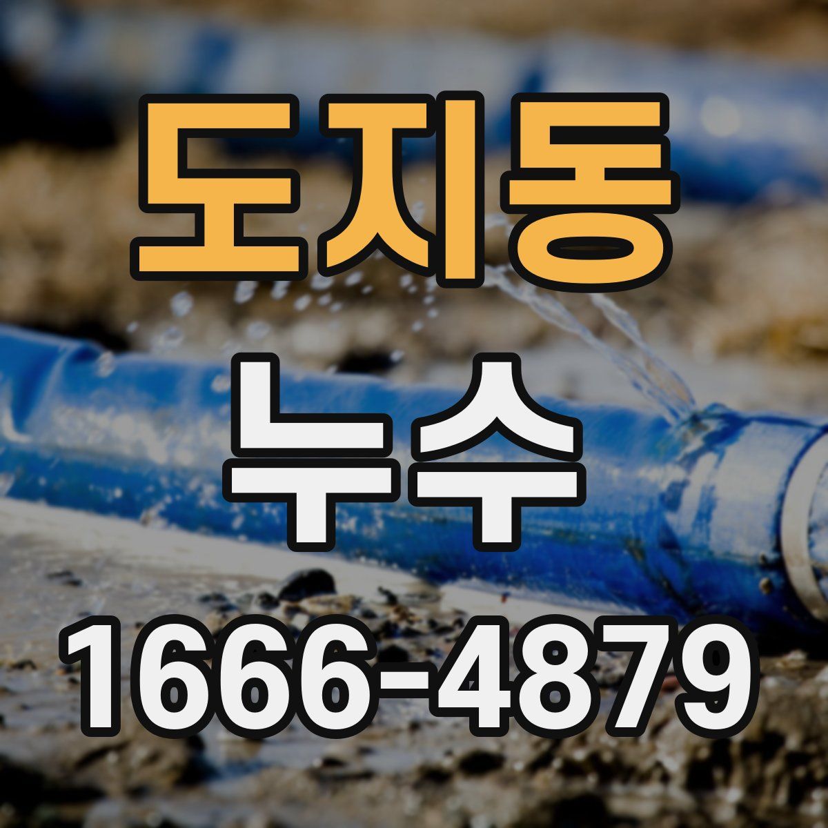 도지동 누수