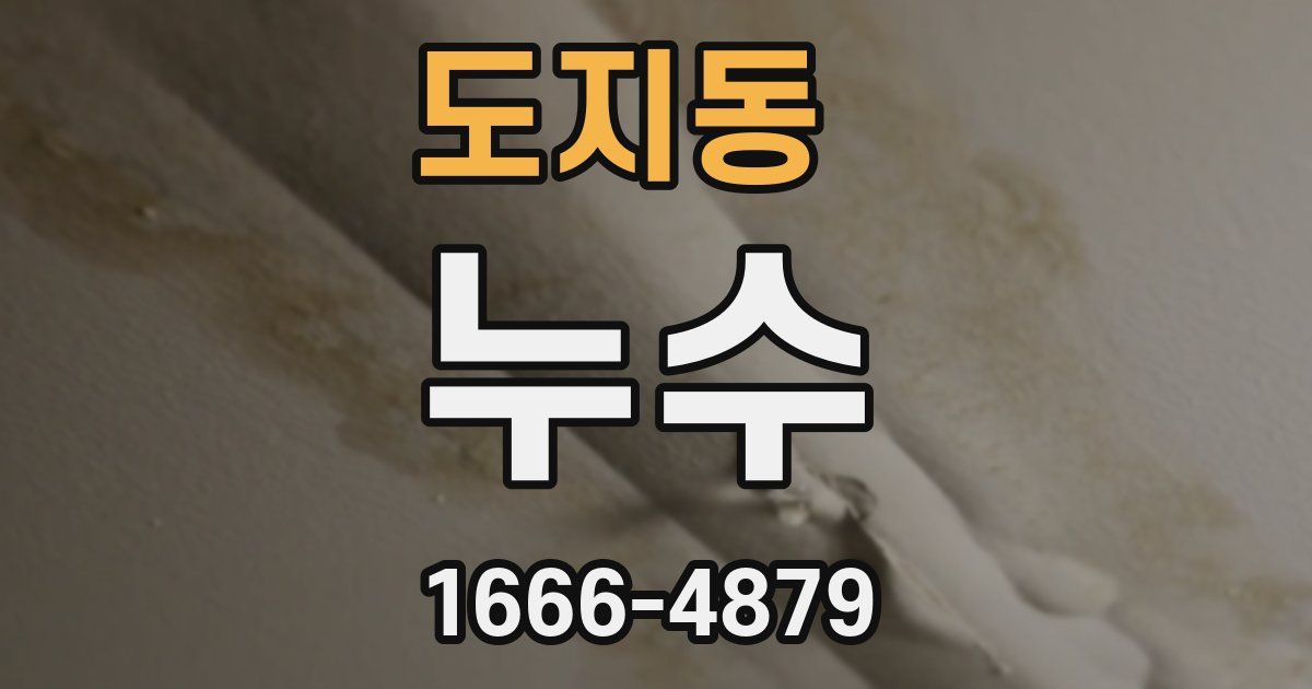 도지동 누수