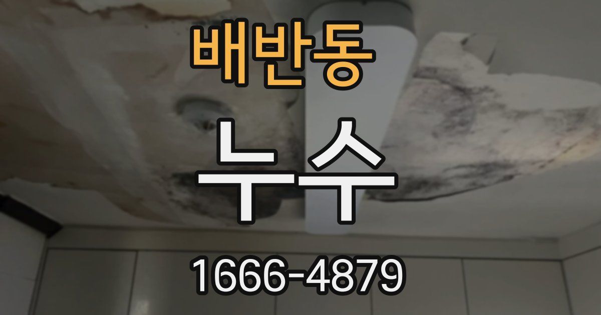 배반동 누수