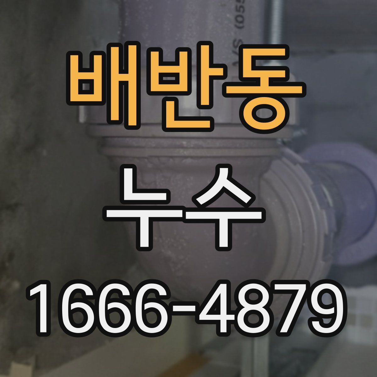 배반동 누수