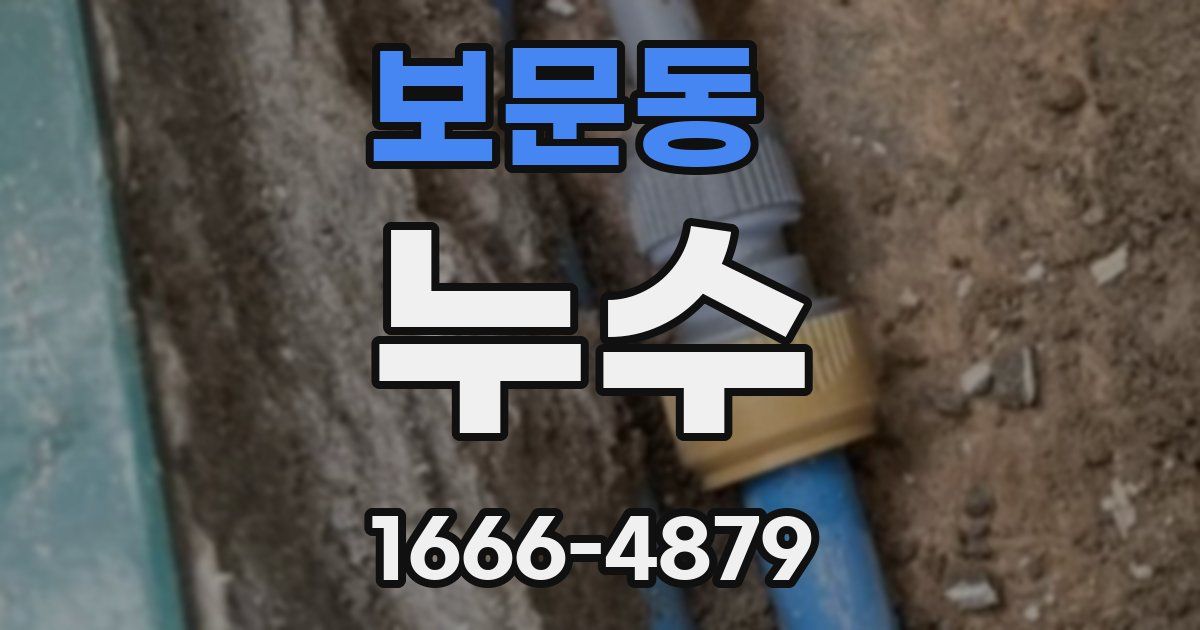 보문동 누수