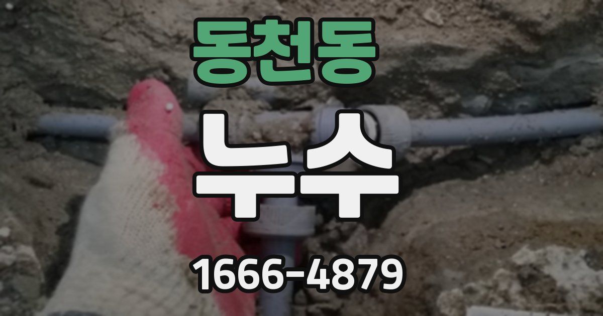 동천동 누수