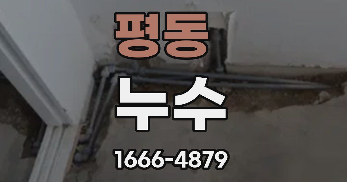 평동 누수