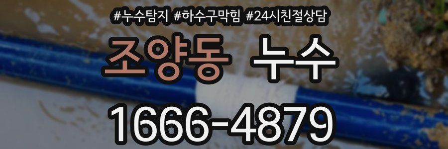 조양동 누수