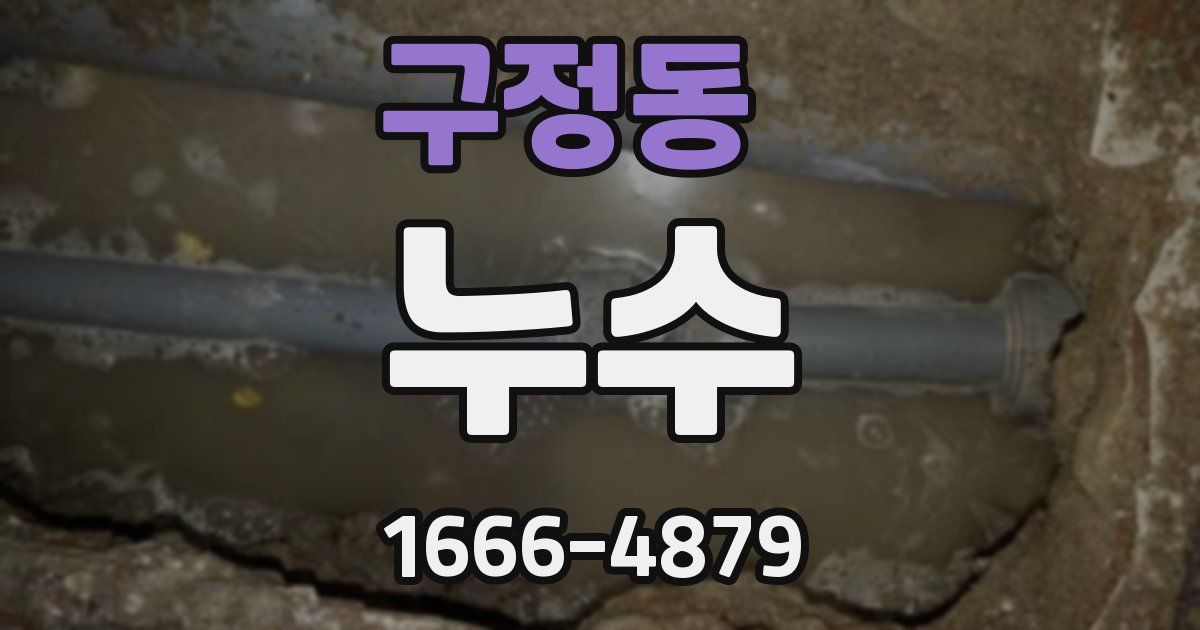구정동 누수