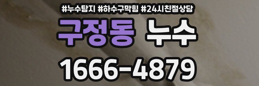 구정동 누수