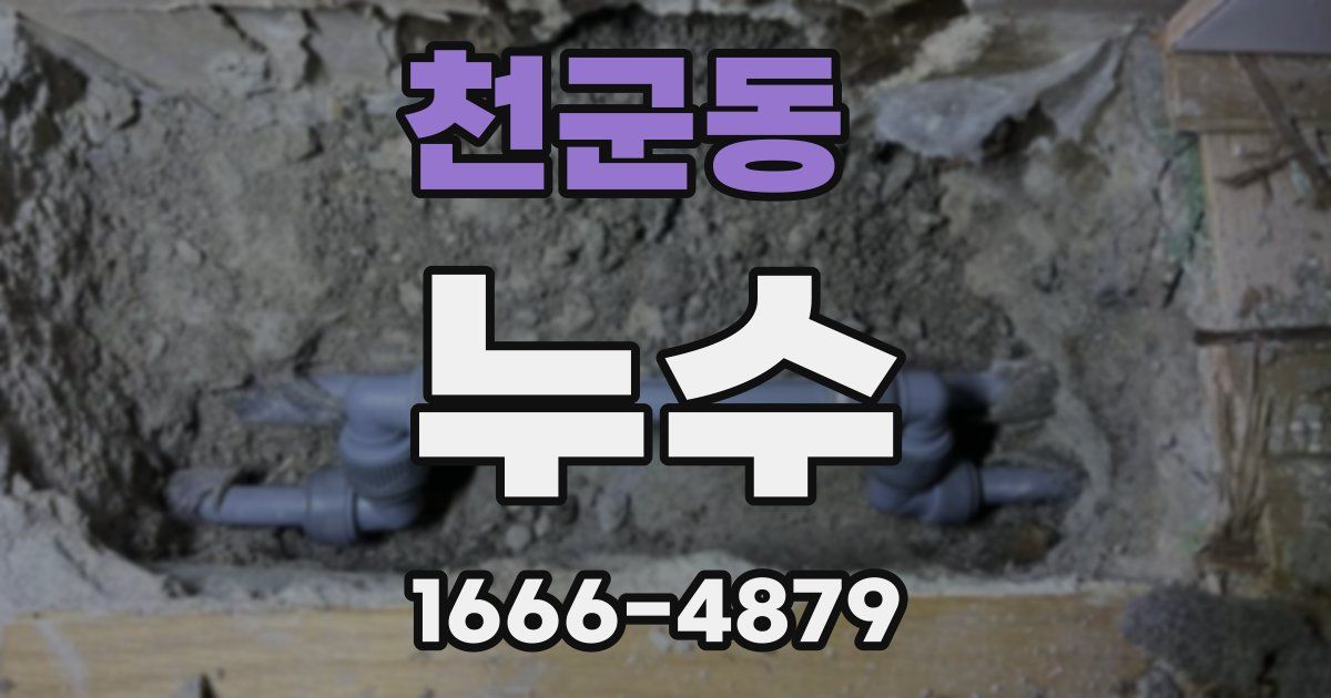 천군동 누수