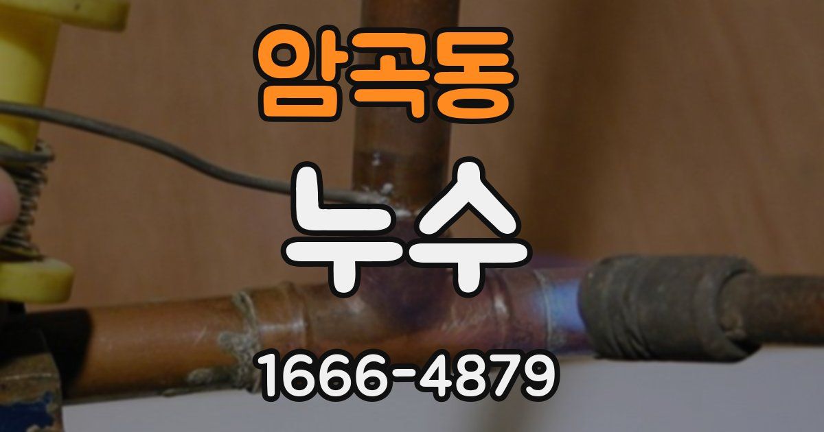 암곡동 누수