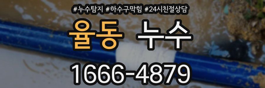 율동 누수