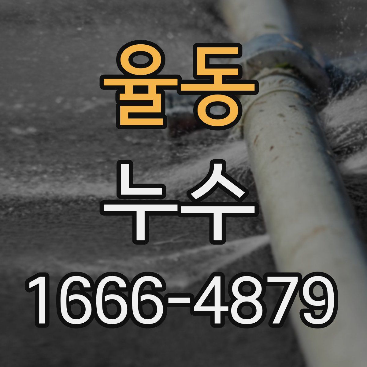 율동 누수