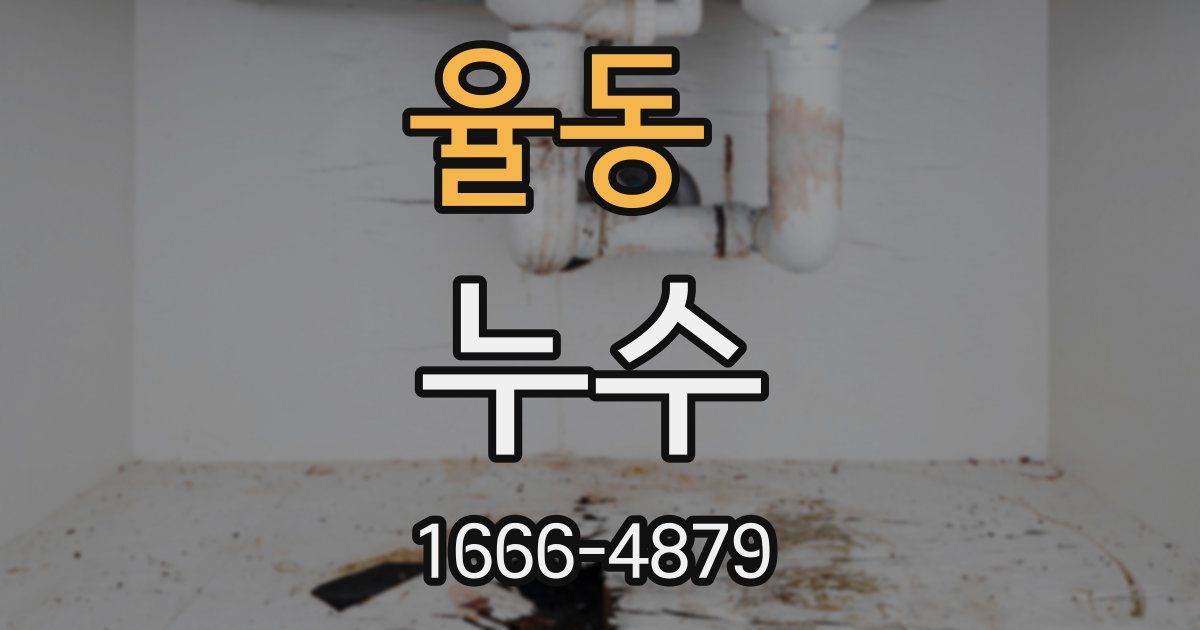 율동 누수