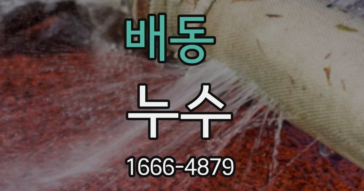 배동 누수