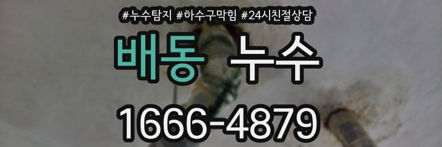 배동 누수