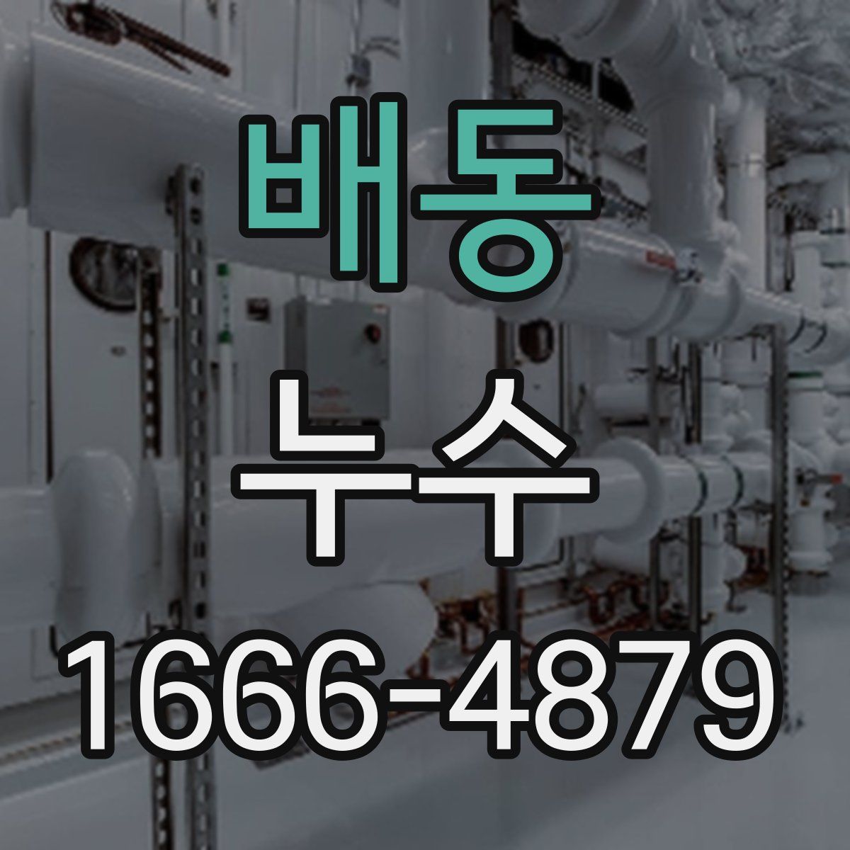 배동 누수