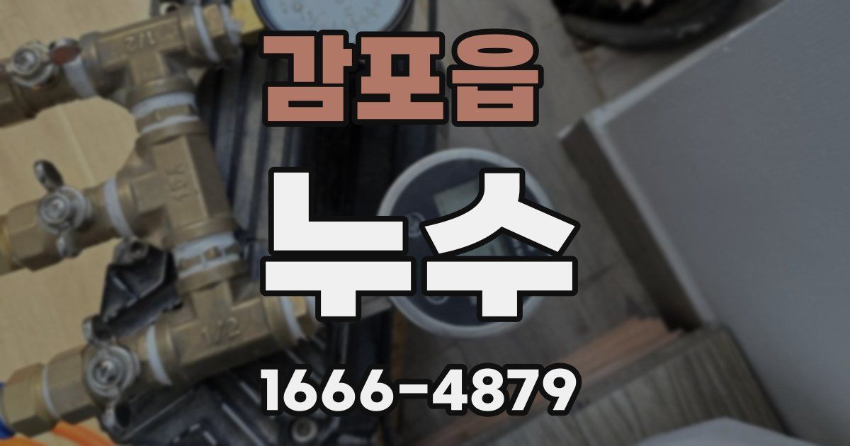 감포읍 누수