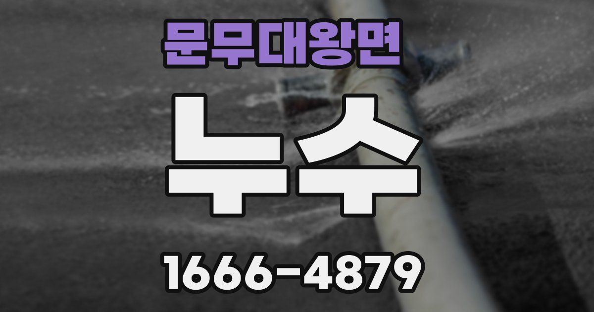 문무대왕면 누수