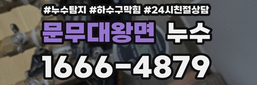 문무대왕면 누수