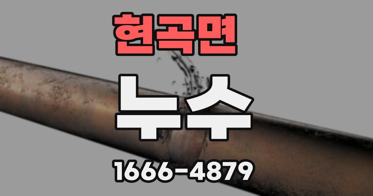현곡면 누수