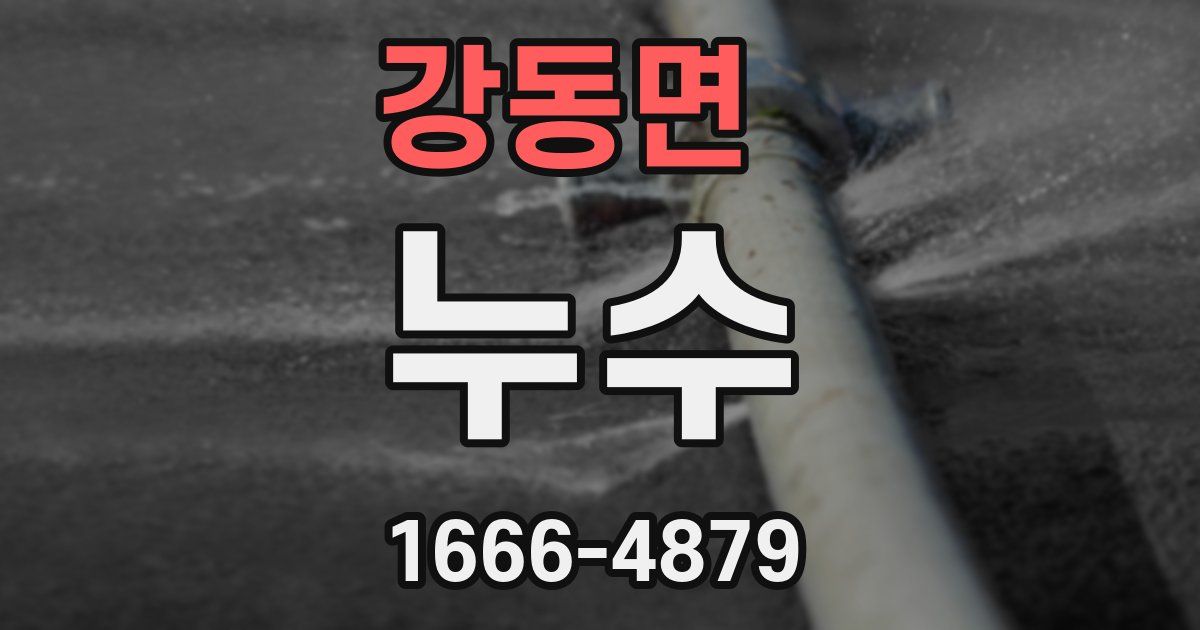 강동면 누수