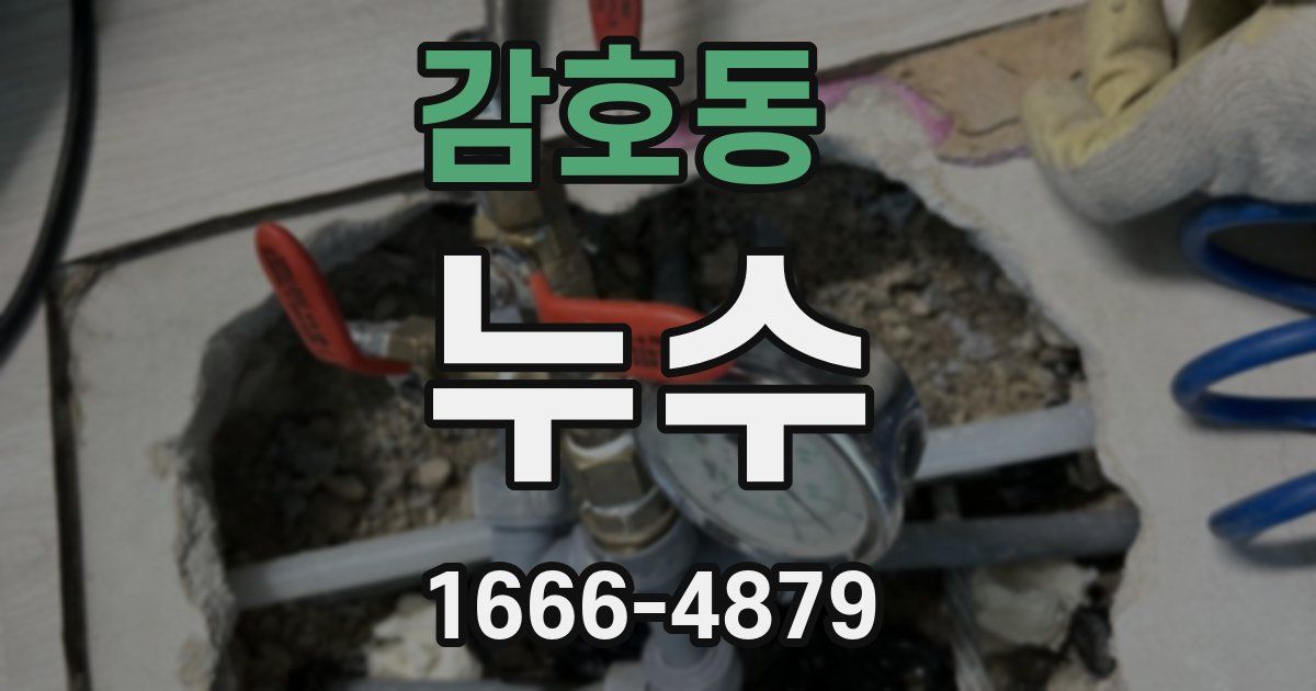 감호동 누수